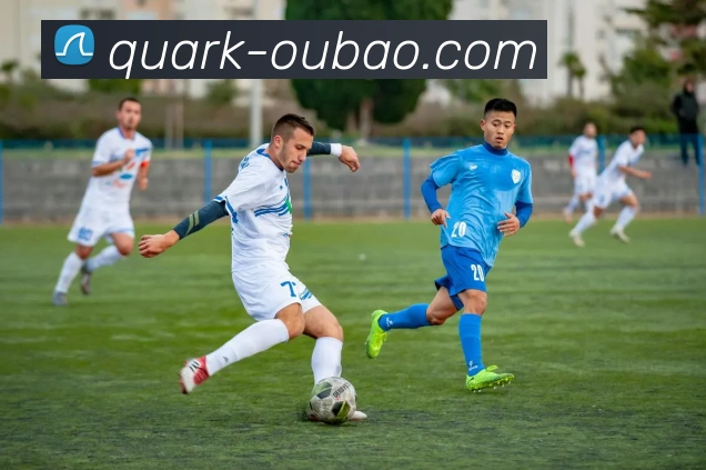 企业概况